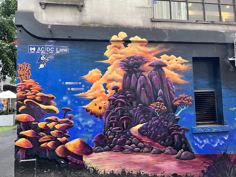 No. 100 Flinders Lane photo 5